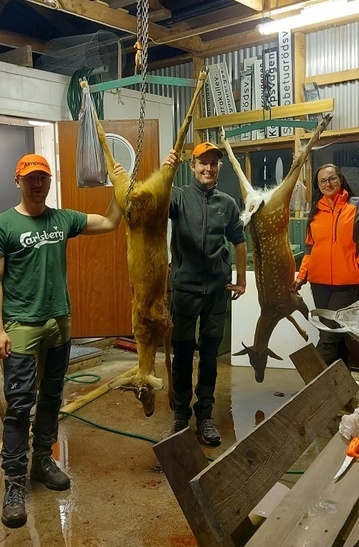 1 1 1 20230902 213811