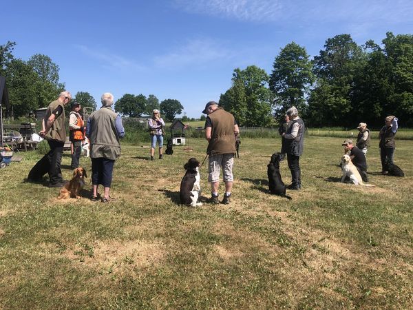 352232746 10227726335335335 42978416077987193 n