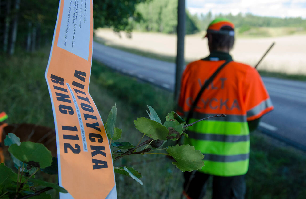 440424891 966257575502022 4453647175934007162 n