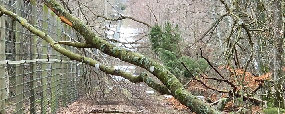 20240128 110701 bred bild 