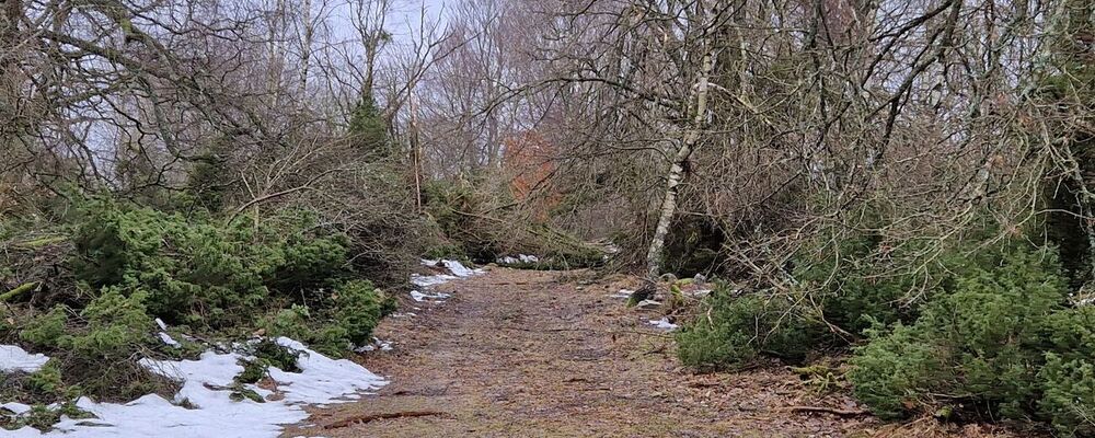 20240128 115101 bred bild 